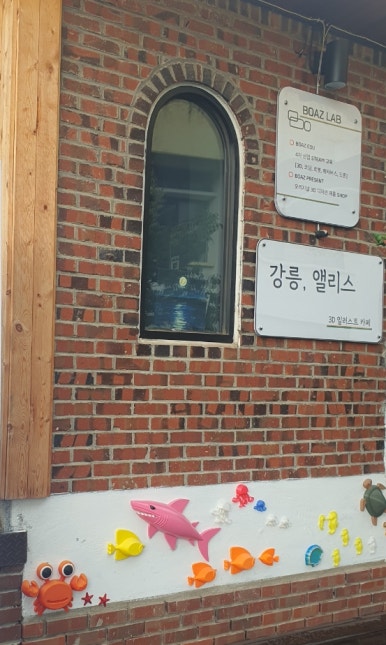 강릉;앨리스 이미지
