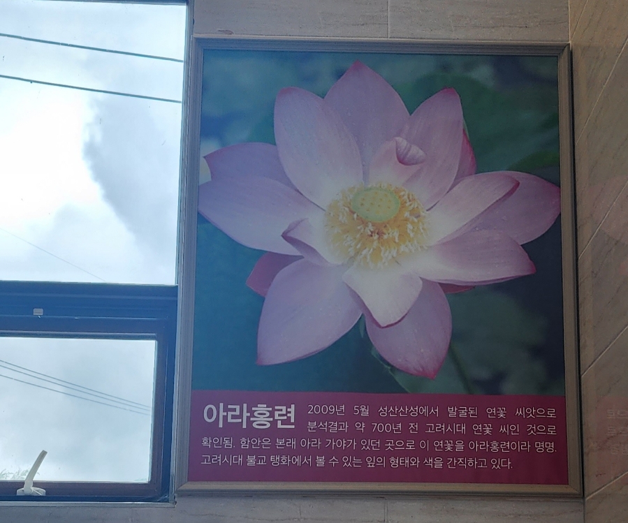 연을담은돈까스 이미지