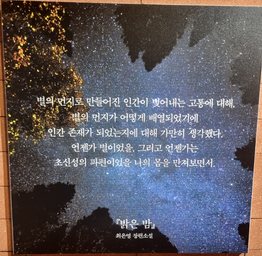 삼일기획 이미지