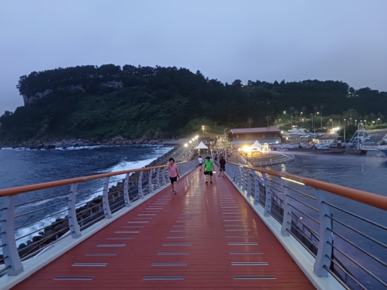프리버드뮤직주 이미지
