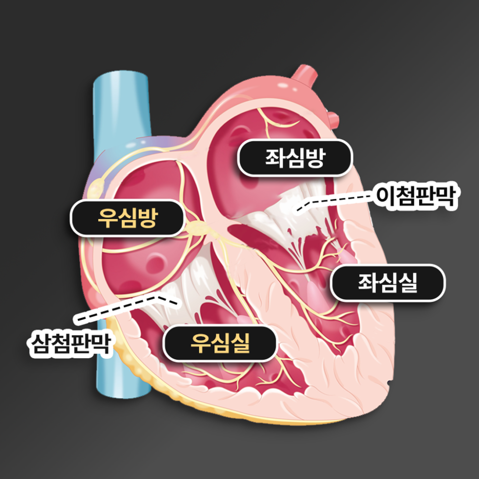 소나무병원 이미지