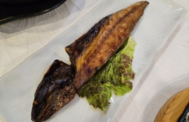 그물에걸린바다풍경 이미지