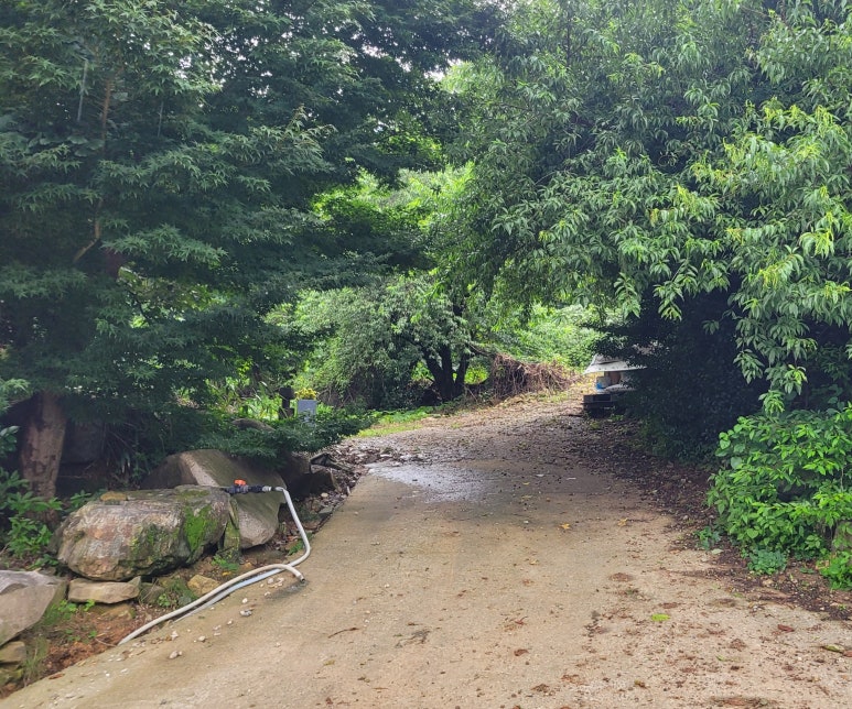 법인도란도란 이미지