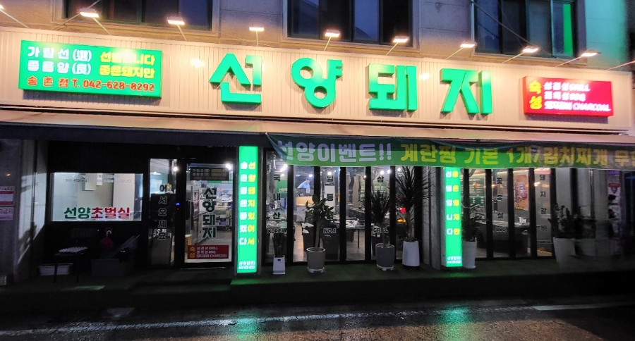 선양돼지 이미지