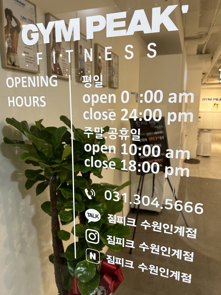 짐피크 이미지