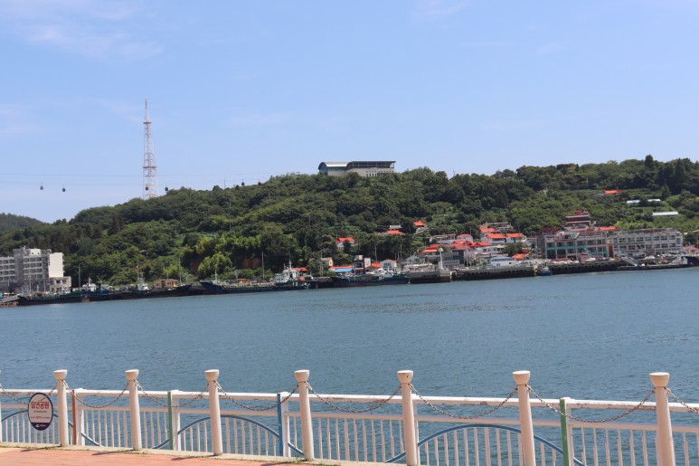 금바우 이미지