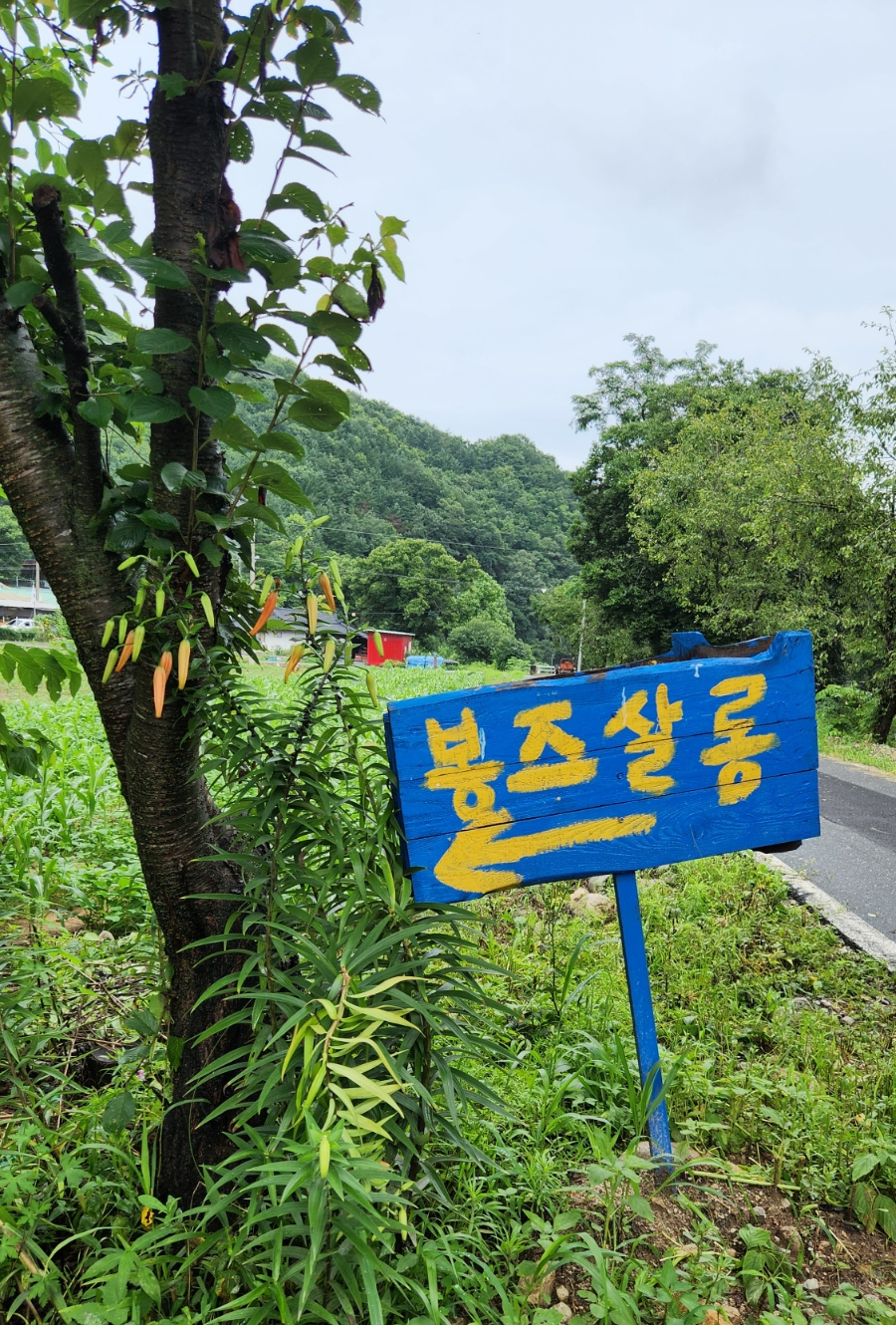 봉즈살롱캠핑 이미지