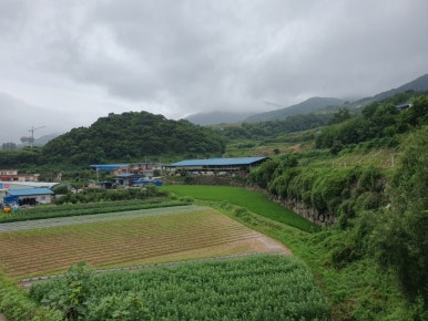 합천호한우구이 이미지