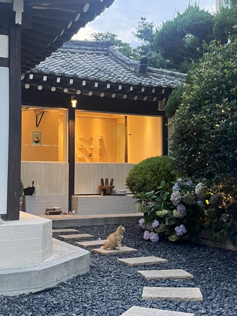 프롬 경주 이미지