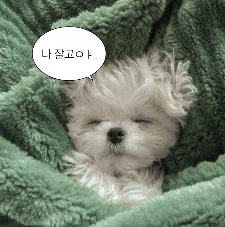 아파테이아 이미지
