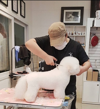 김성균애견미용학원 이미지