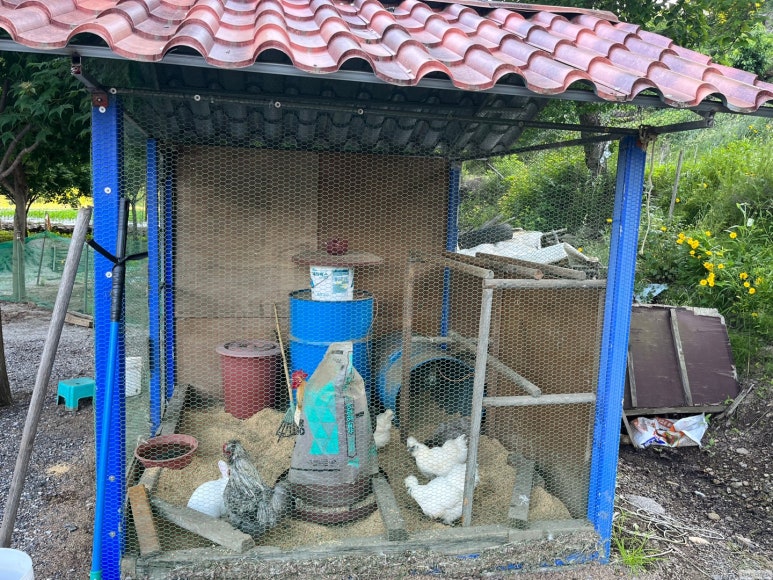 지리산소윤정펜션 이미지