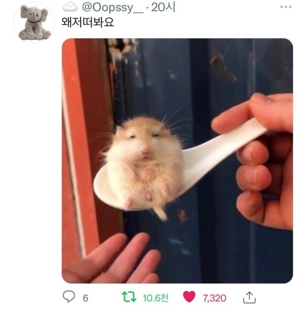 헤이HEY 이미지