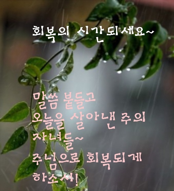(주)샬롬환경 이미지