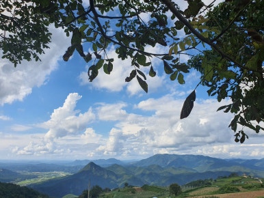 화산회관앞 이미지
