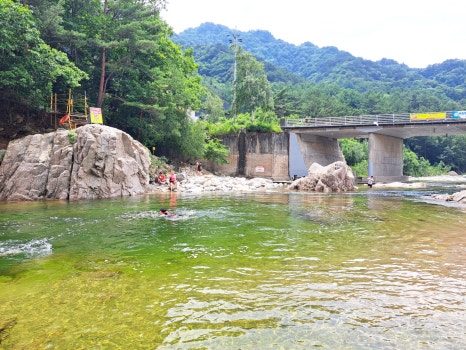설화황태구이 이미지