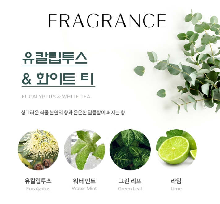 마일드태닝 이미지