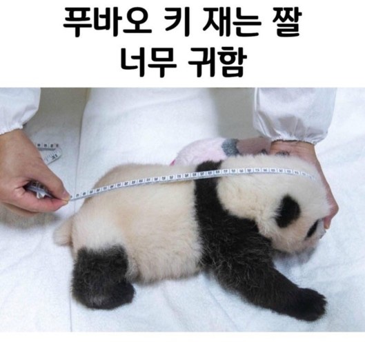 성진아구찜 이미지