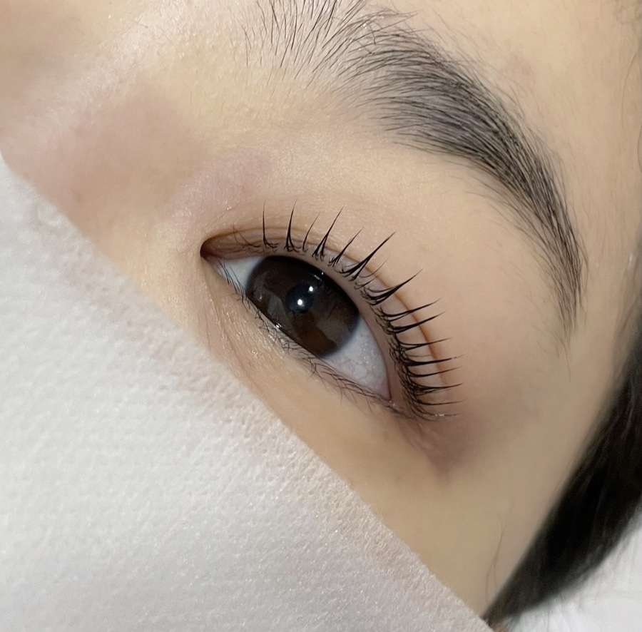 라온속눈썹 이미지