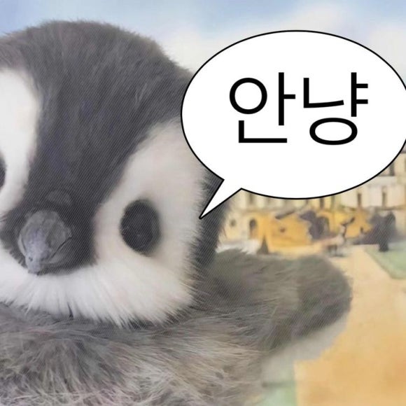 파스토보이반야월 이미지