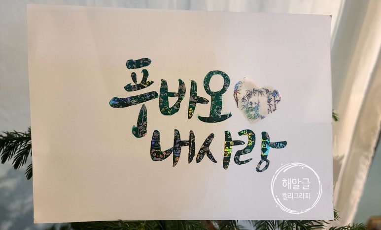 바오캘리 이미지