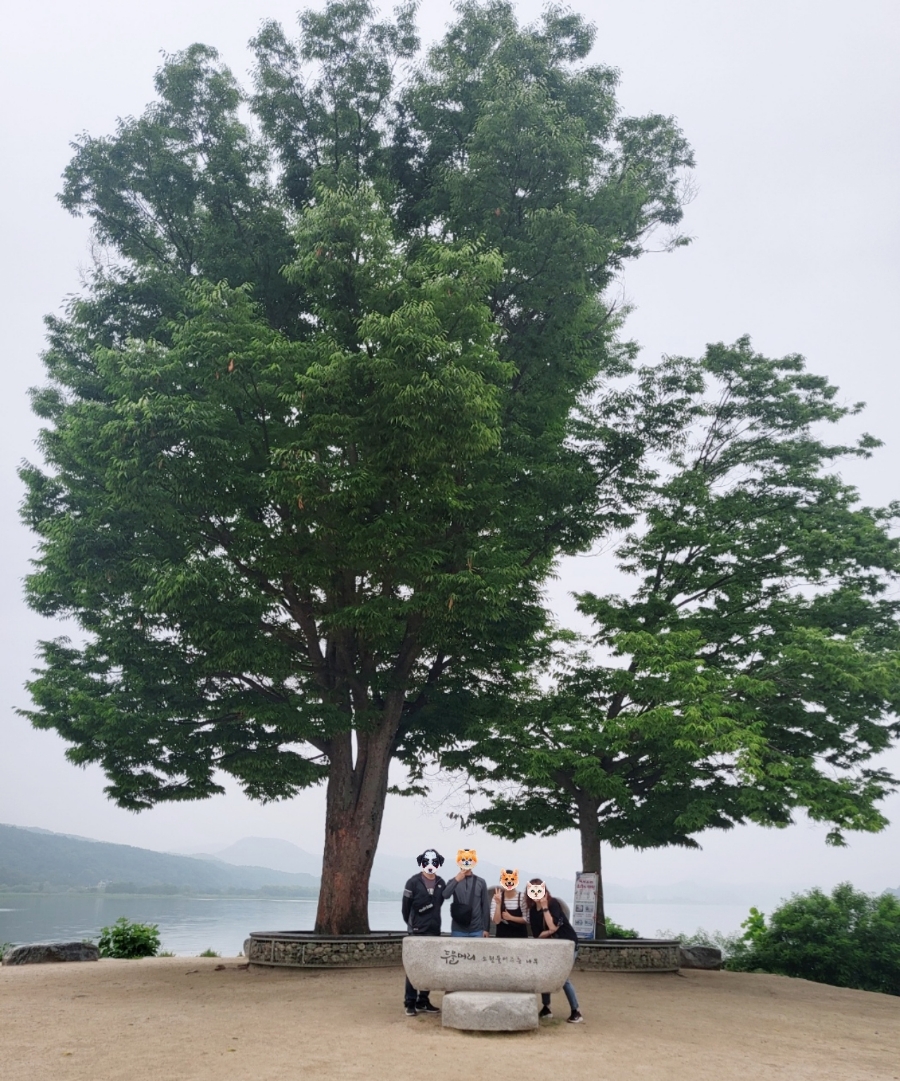 흥부네뒷고기 이미지