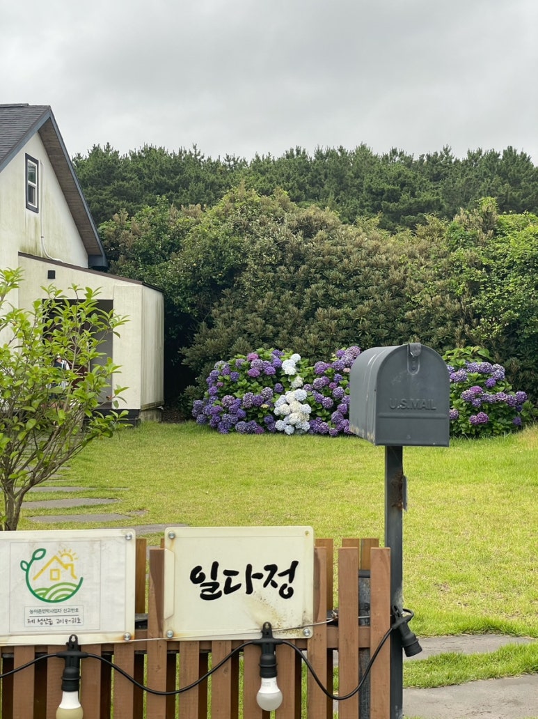 다정마트 이미지