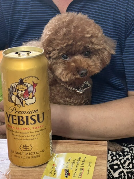 네네치킨일동점 이미지