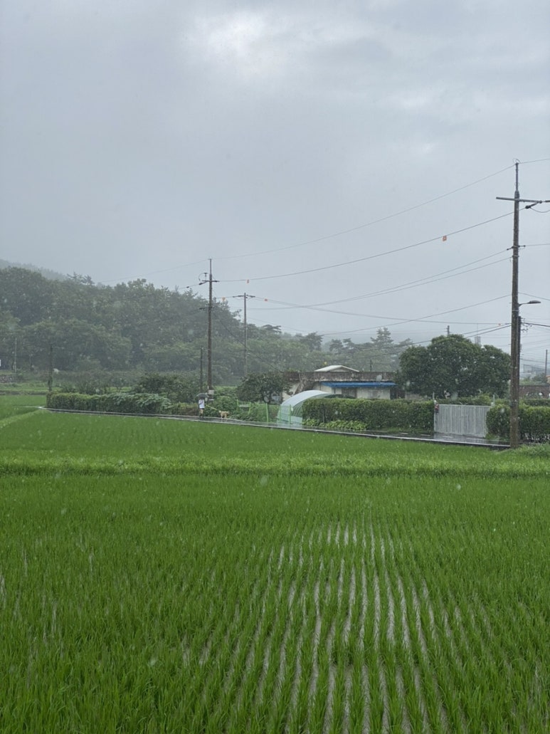 복실이 한정식 이미지