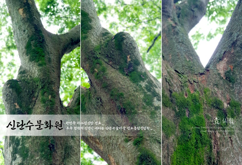 청원문화원 이미지