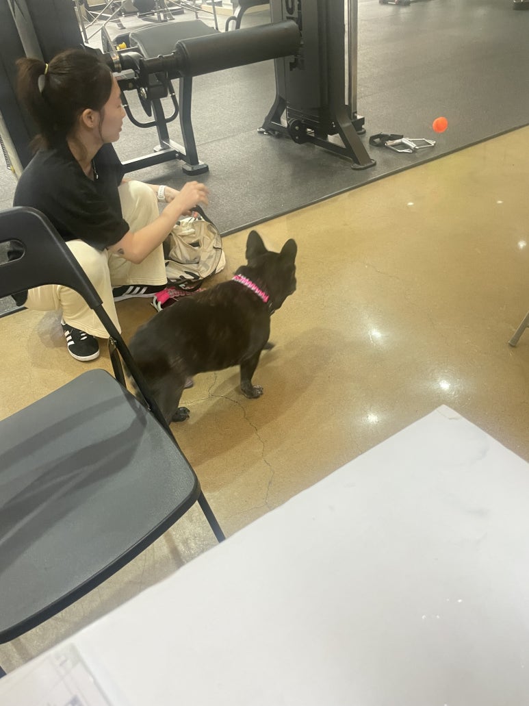 숑숑짐 이미지