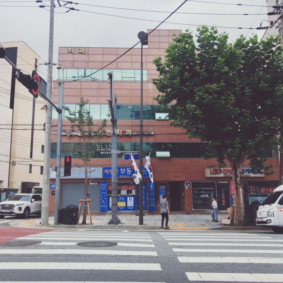 안암엘와이엔치과 이미지