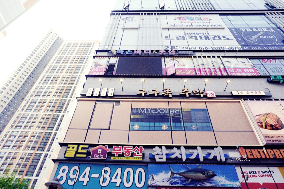 구구족 이미지