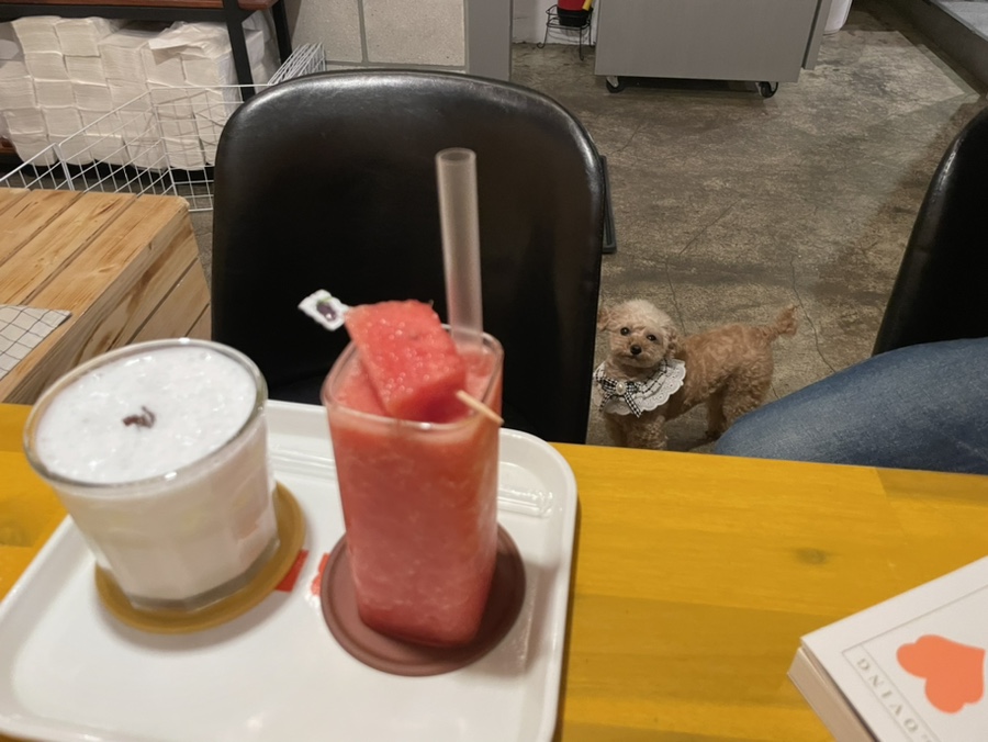 카페니치어은점 이미지