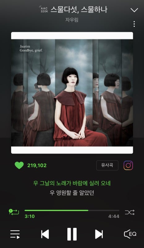 백송이 이미지