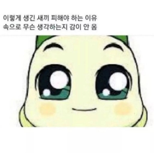 더제이케이키친박스 이미지