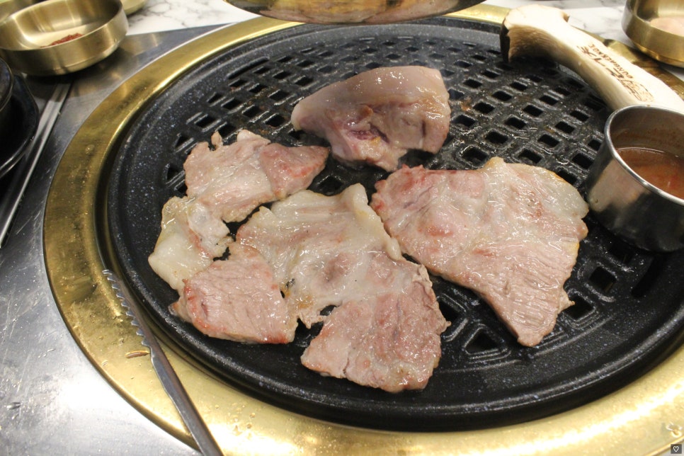 돈백꽃서귀포점 이미지