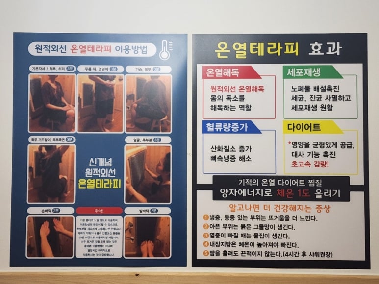 핑다이어트 이미지