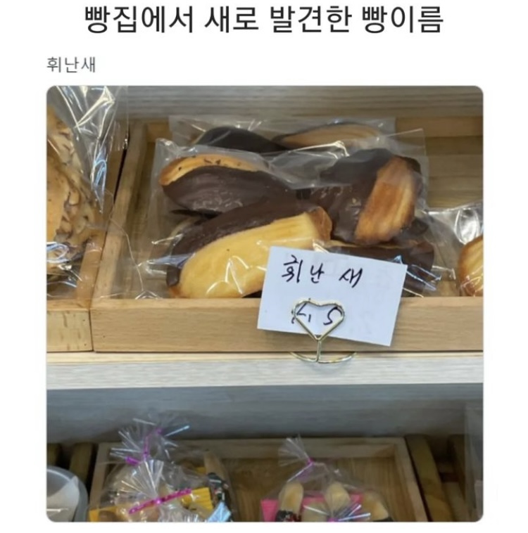 휘난새 이미지