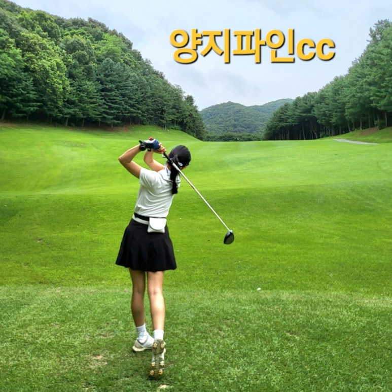 양지파인cc클럽하우스 이미지