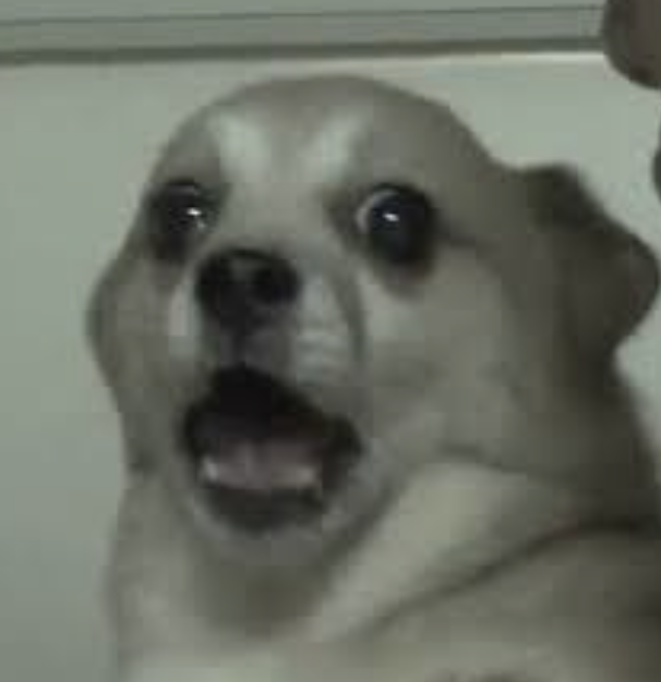 거동탕수육 이미지