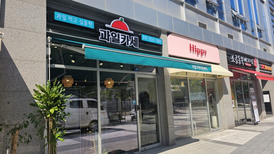 과일카세 이미지
