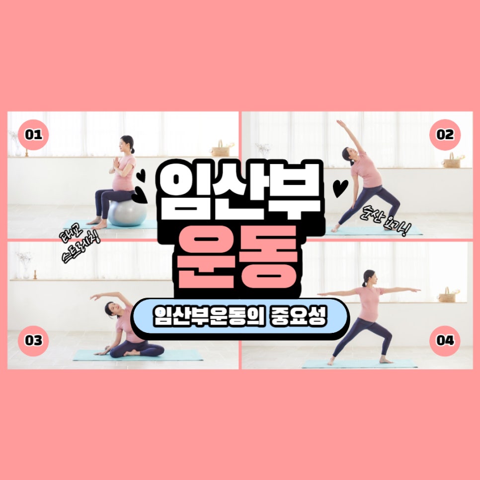 으뜸핏 이미지