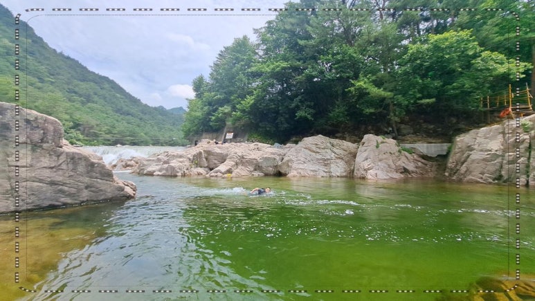 설화황태구이 이미지
