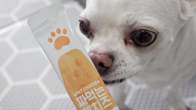치즈랩(cheese lab) 이미지
