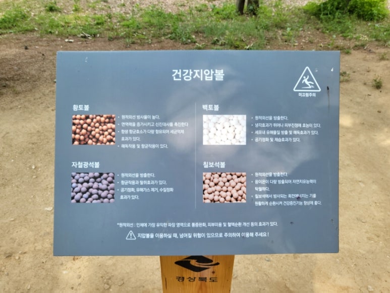 천년숲 유아숲체험원 이미지