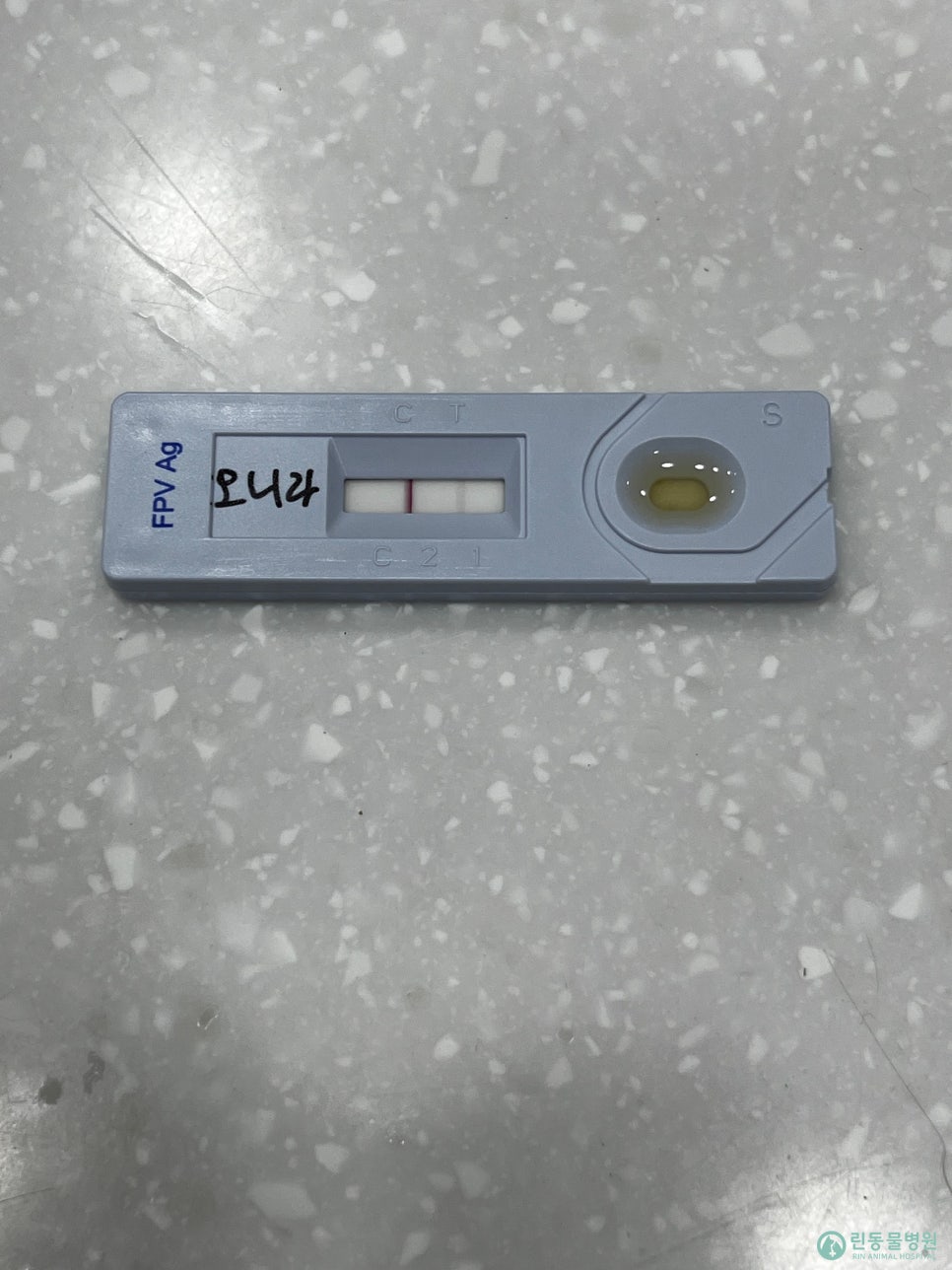 알지 아라 이미지