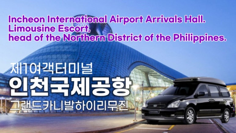 선학모밀 이미지