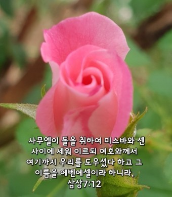 (주)에벤에셀 이미지