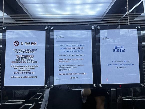 더휴식아늑대전용전 이미지